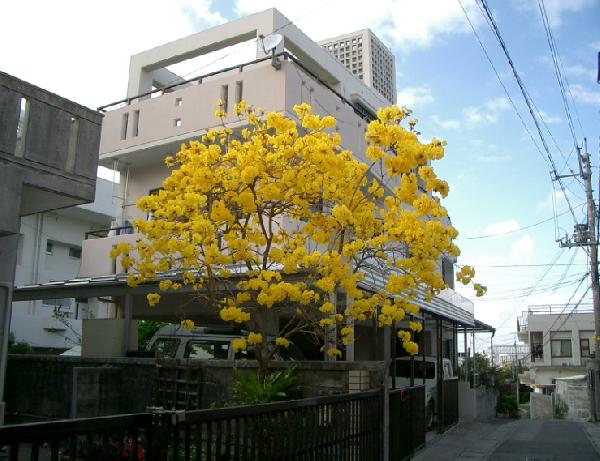image13