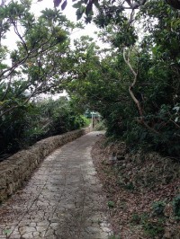 画像 167